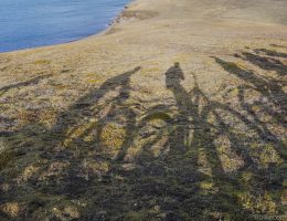 mtb iceland