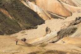 mtb iceland