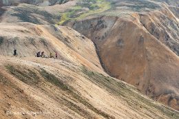 mtb iceland