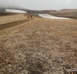 mtb iceland