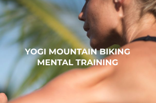 yoga mtb iceland bike company