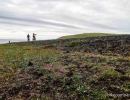 mtb iceland