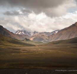 BIKE COMPANY - ©Pana Mogren-12 mtb iceland