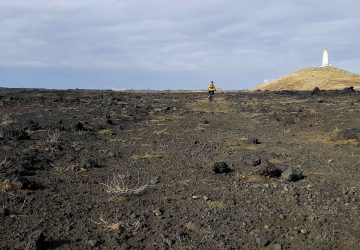 reykjanes
