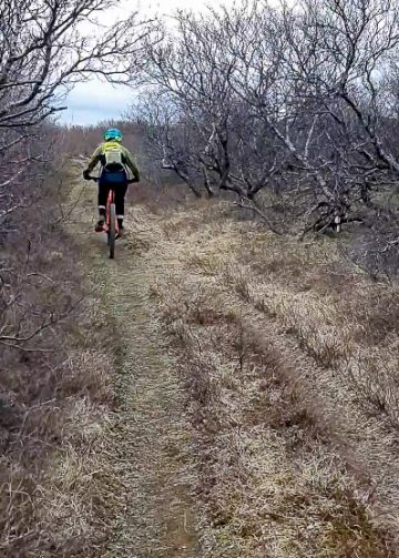 mtb iceland