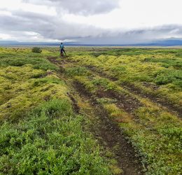 MTB Iceland