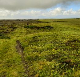 MTB Iceland