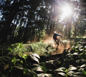 Portúgal -Bike Company