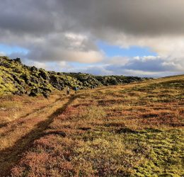 E-MTB ADVENTURE IN THE HIGHLANDS