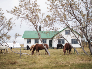 eMTB Iceland