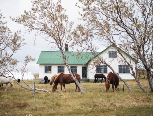 MINNIVELLIR COTTAGE